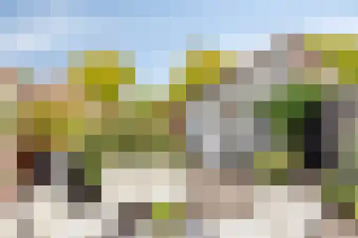Seldensate 47 's-Hertogenbosch thumbnail 34