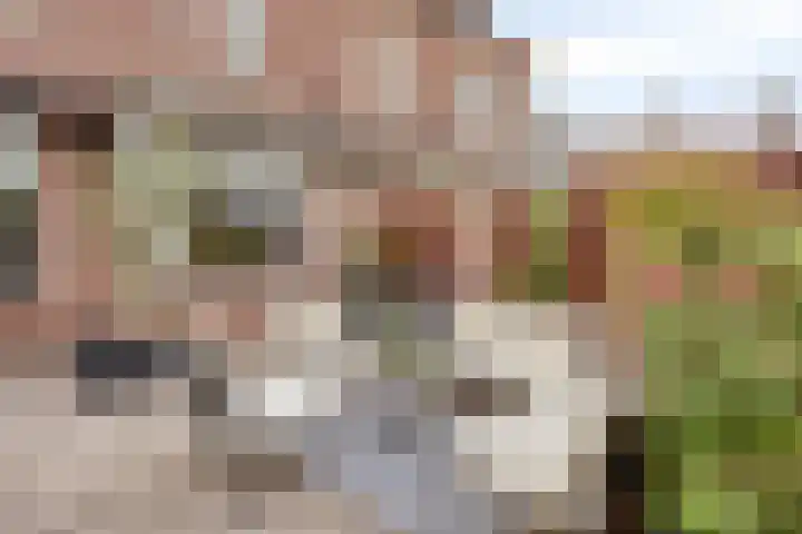 Seldensate 47 's-Hertogenbosch thumbnail 36