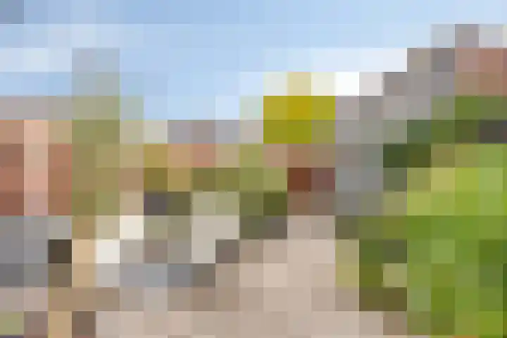 Seldensate 47 's-Hertogenbosch thumbnail 37