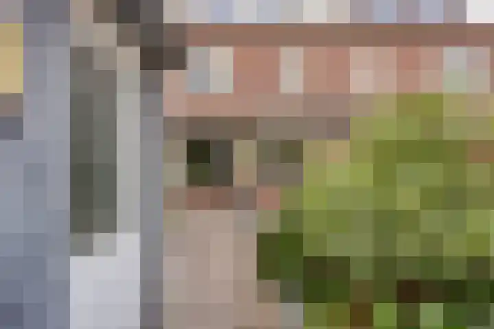 Seldensate 47 's-Hertogenbosch thumbnail 38
