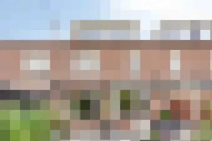 Seldensate 47 's-Hertogenbosch thumbnail 39