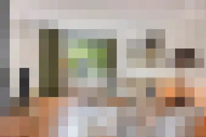 Seldensate 47 's-Hertogenbosch thumbnail 4