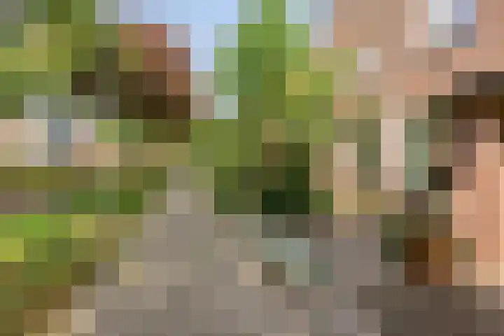 Seldensate 47 's-Hertogenbosch thumbnail 40