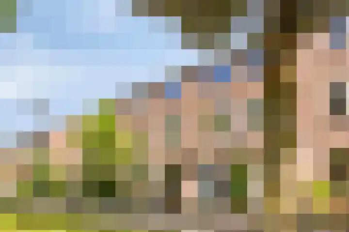 Seldensate 47 's-Hertogenbosch thumbnail 41