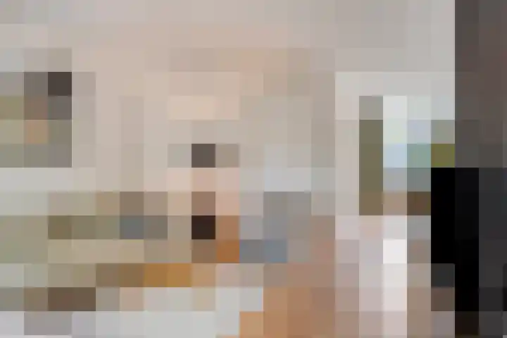 Seldensate 47 's-Hertogenbosch thumbnail 5