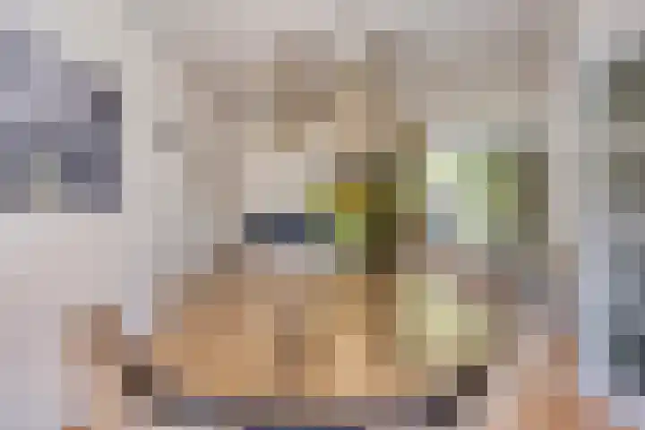 Seldensate 47 's-Hertogenbosch thumbnail 9