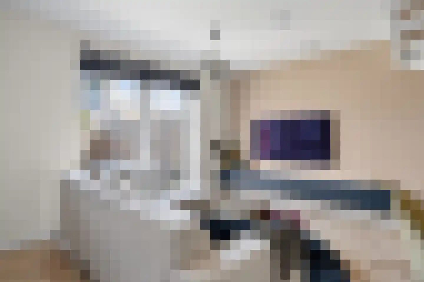 Seldensate 5 Waalwijk thumbnail 20