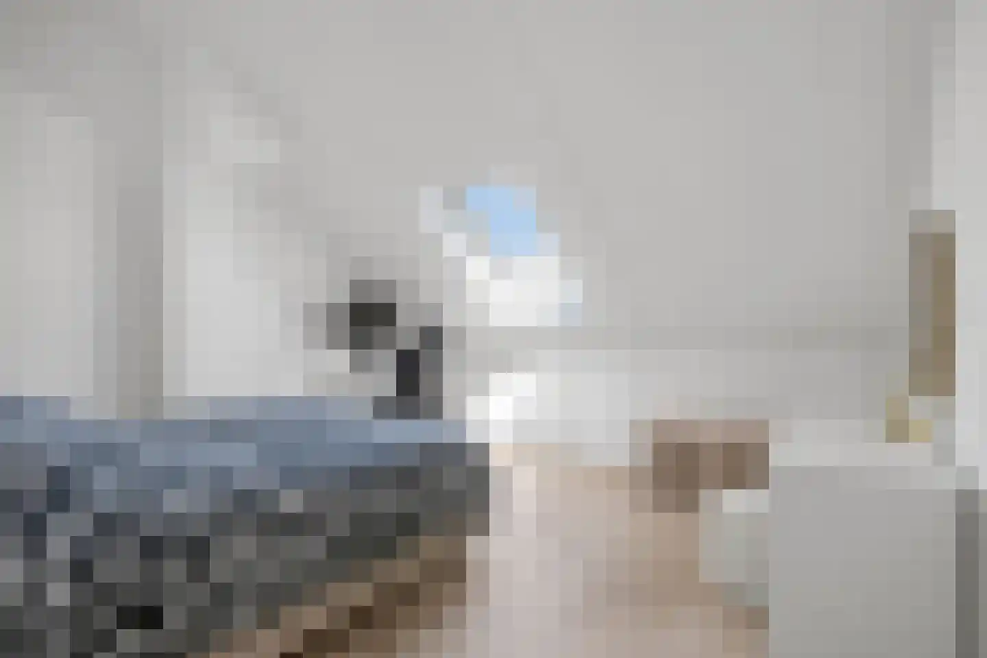 Seldensate 5 Waalwijk thumbnail 30