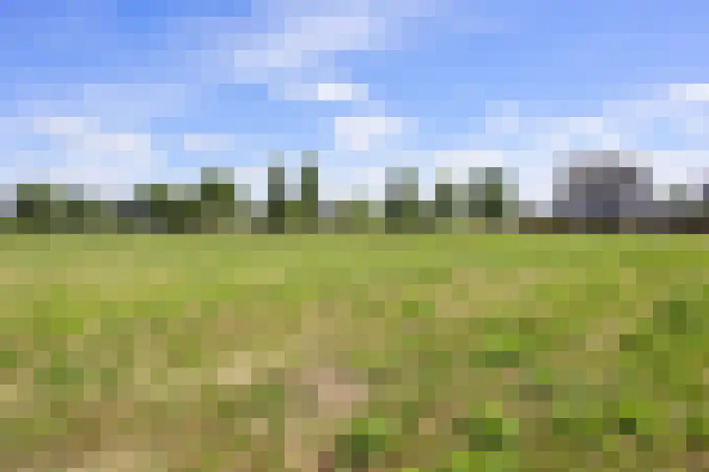 Seldensate 5 Waalwijk thumbnail 41