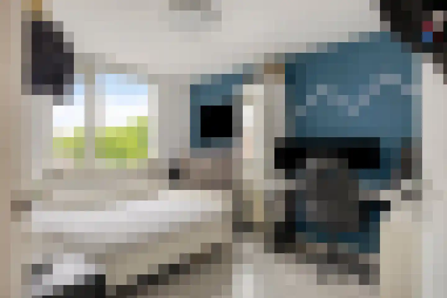 Seldensate 51 's-Hertogenbosch thumbnail 10