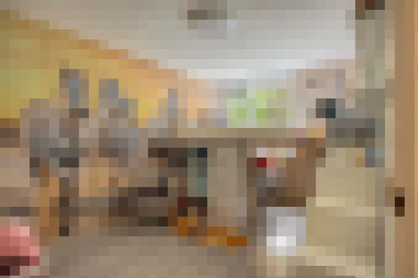 Seldensate 51 's-Hertogenbosch thumbnail 11