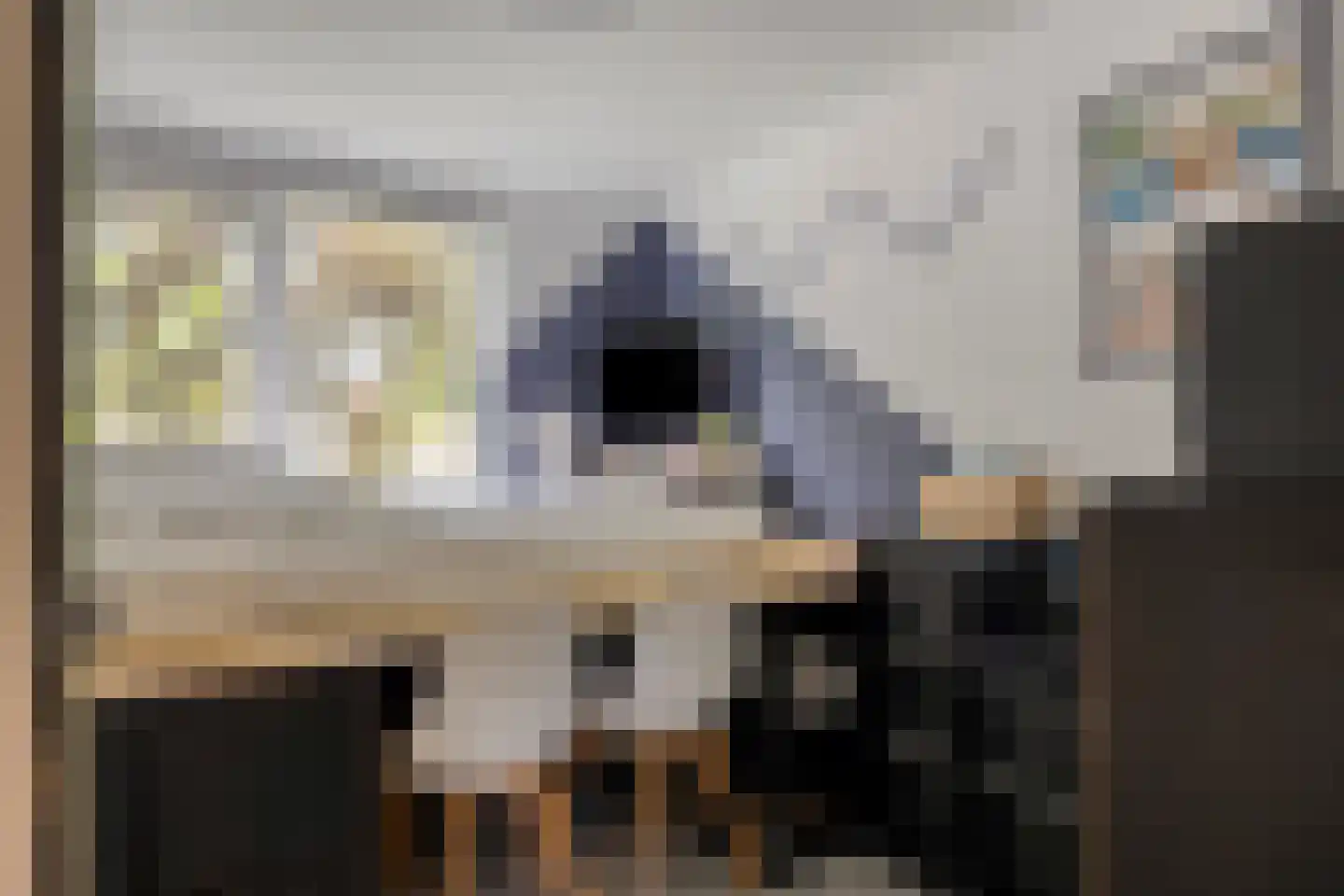 Seldensate 51 's-Hertogenbosch thumbnail 12