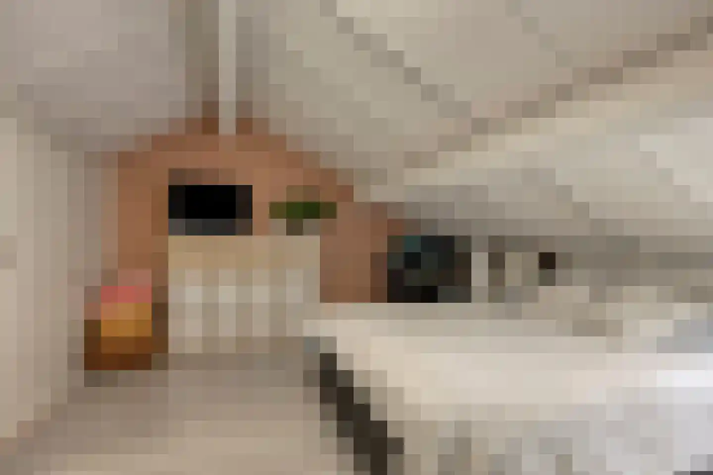 Seldensate 51 's-Hertogenbosch thumbnail 15