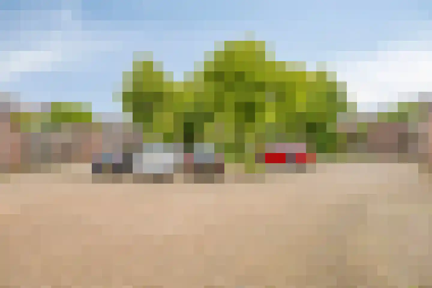 Seldensate 51 's-Hertogenbosch thumbnail 20