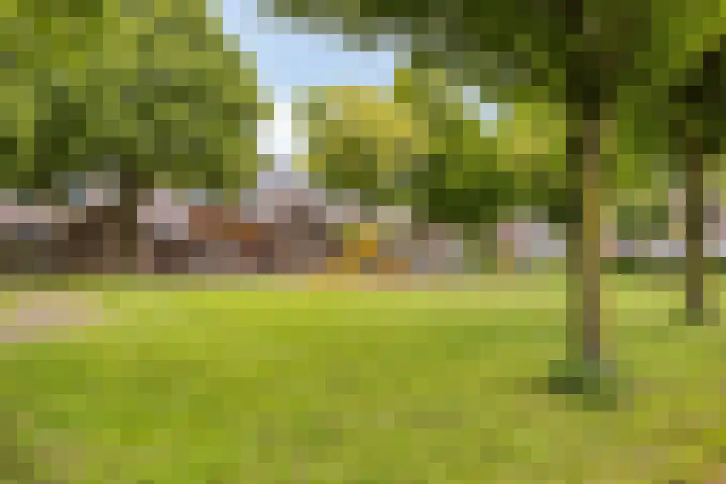 Seldensate 51 's-Hertogenbosch thumbnail 21