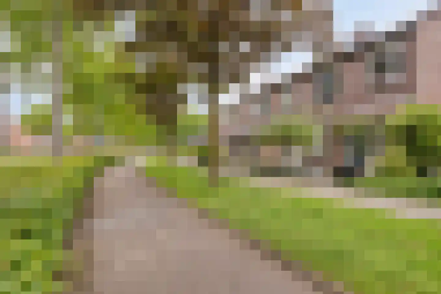 Seldensate 51 's-Hertogenbosch thumbnail 24
