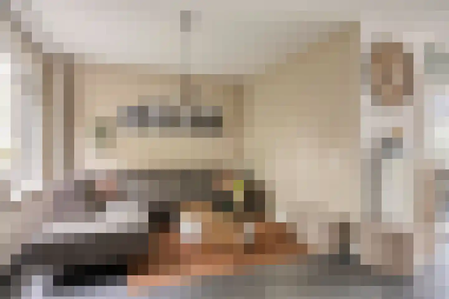 Seldensate 51 's-Hertogenbosch thumbnail 4