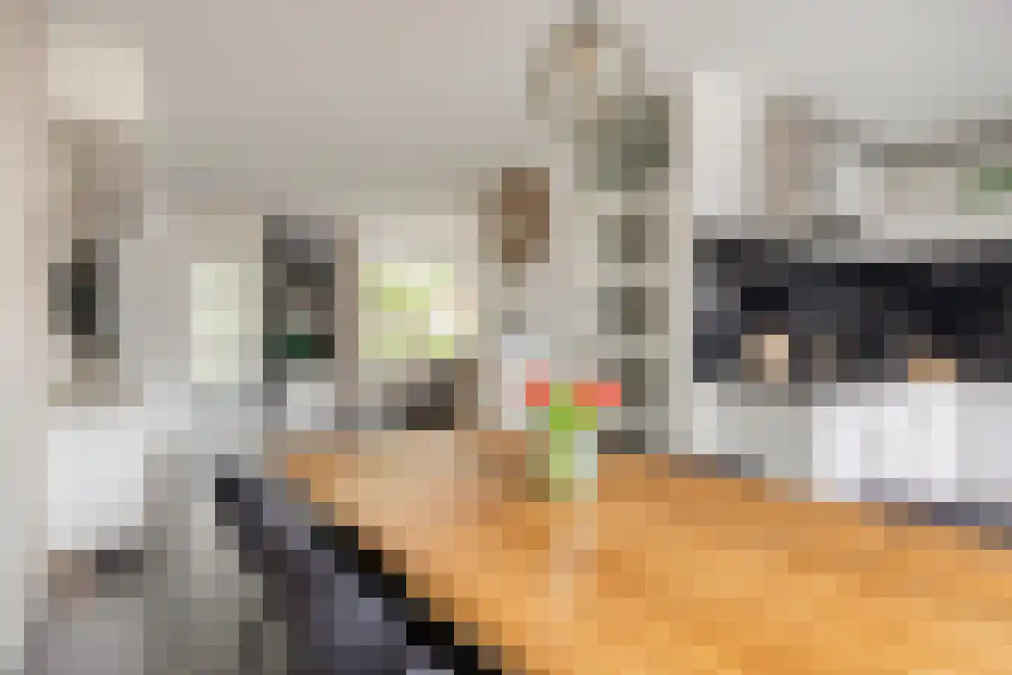 Seldensate 51 's-Hertogenbosch thumbnail 7