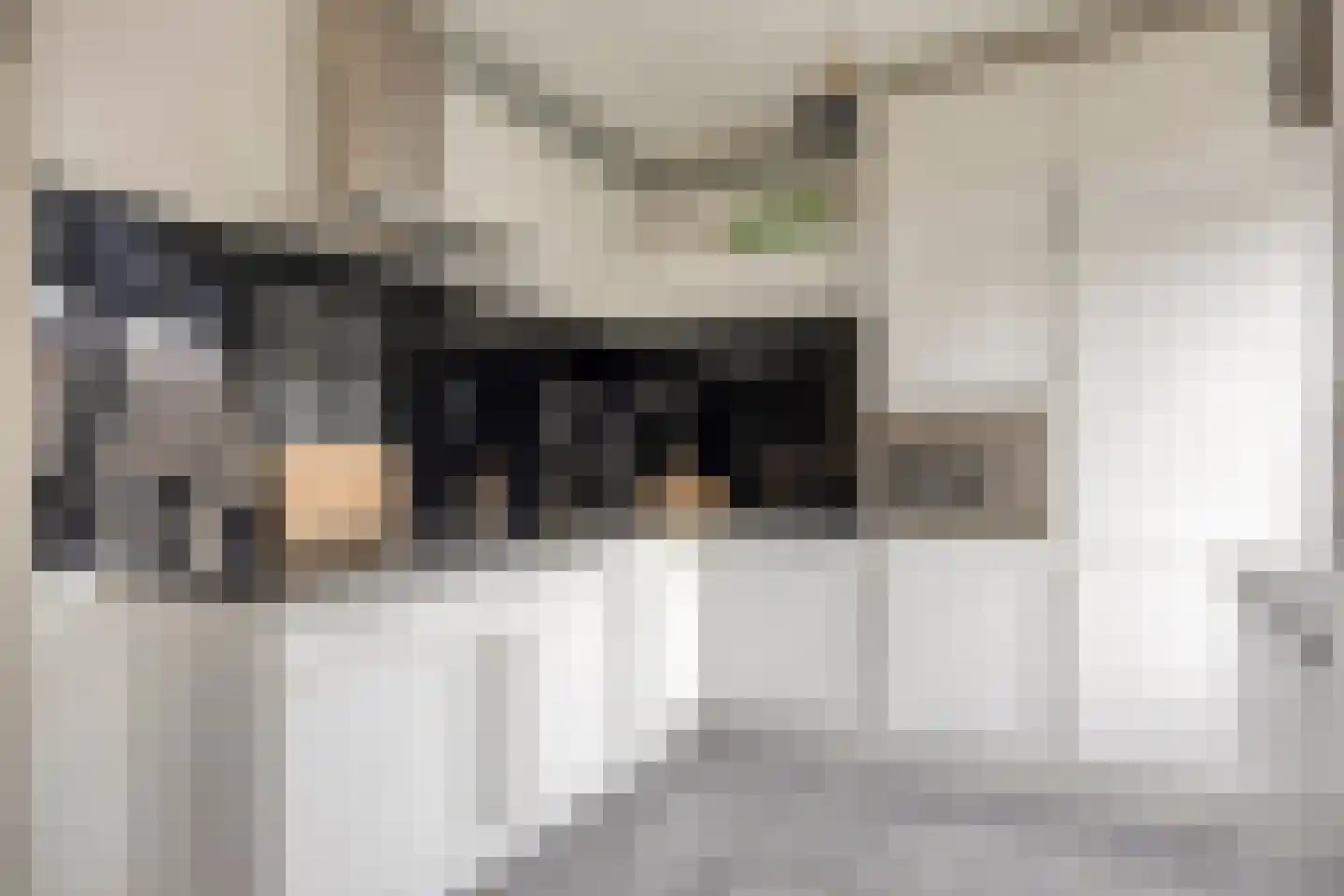 Seldensate 51 's-Hertogenbosch thumbnail 8