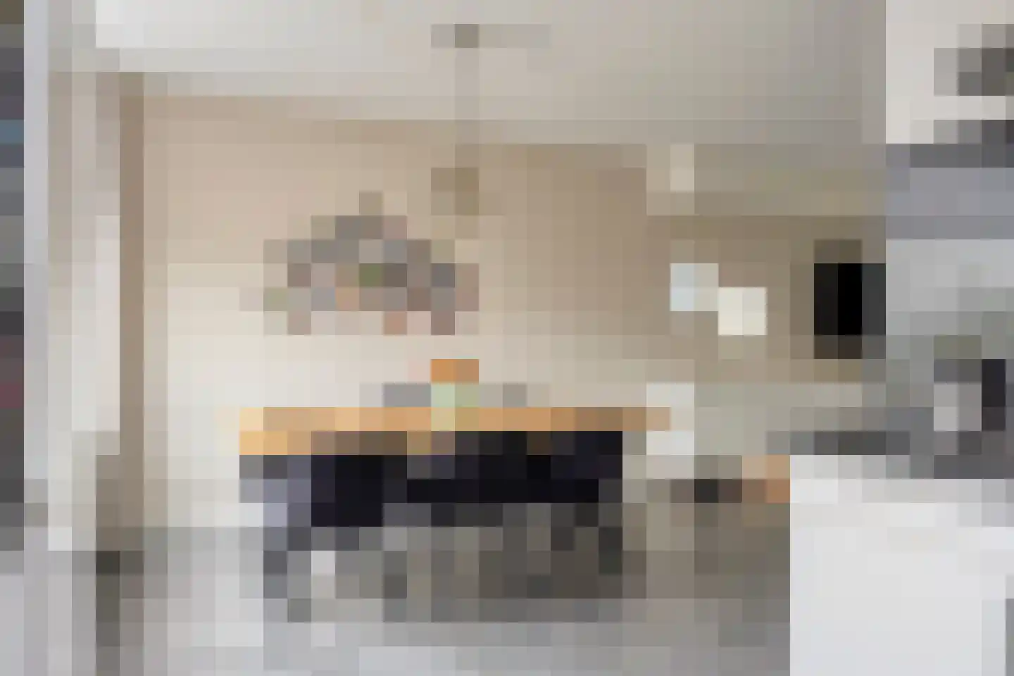 Seldensate 51 's-Hertogenbosch thumbnail 9