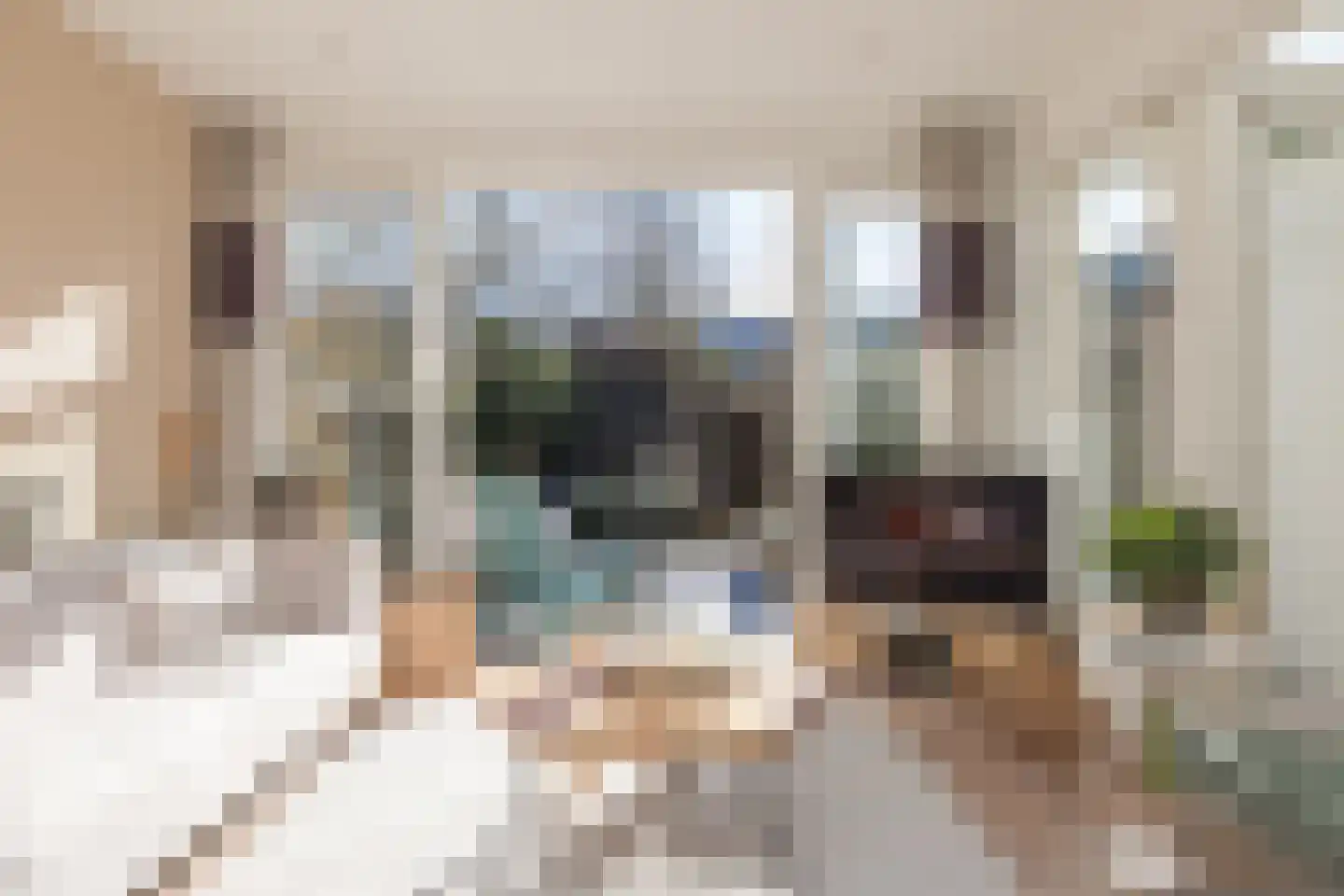 Selderiestraat 7 Voorhout thumbnail 16