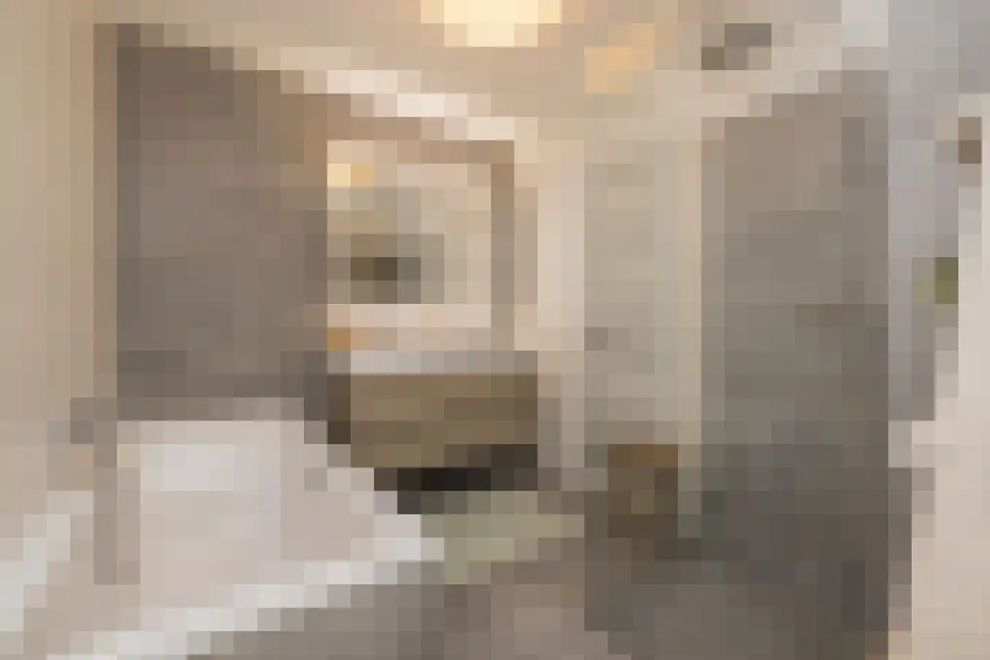 Selderiestraat 7 Voorhout thumbnail 35
