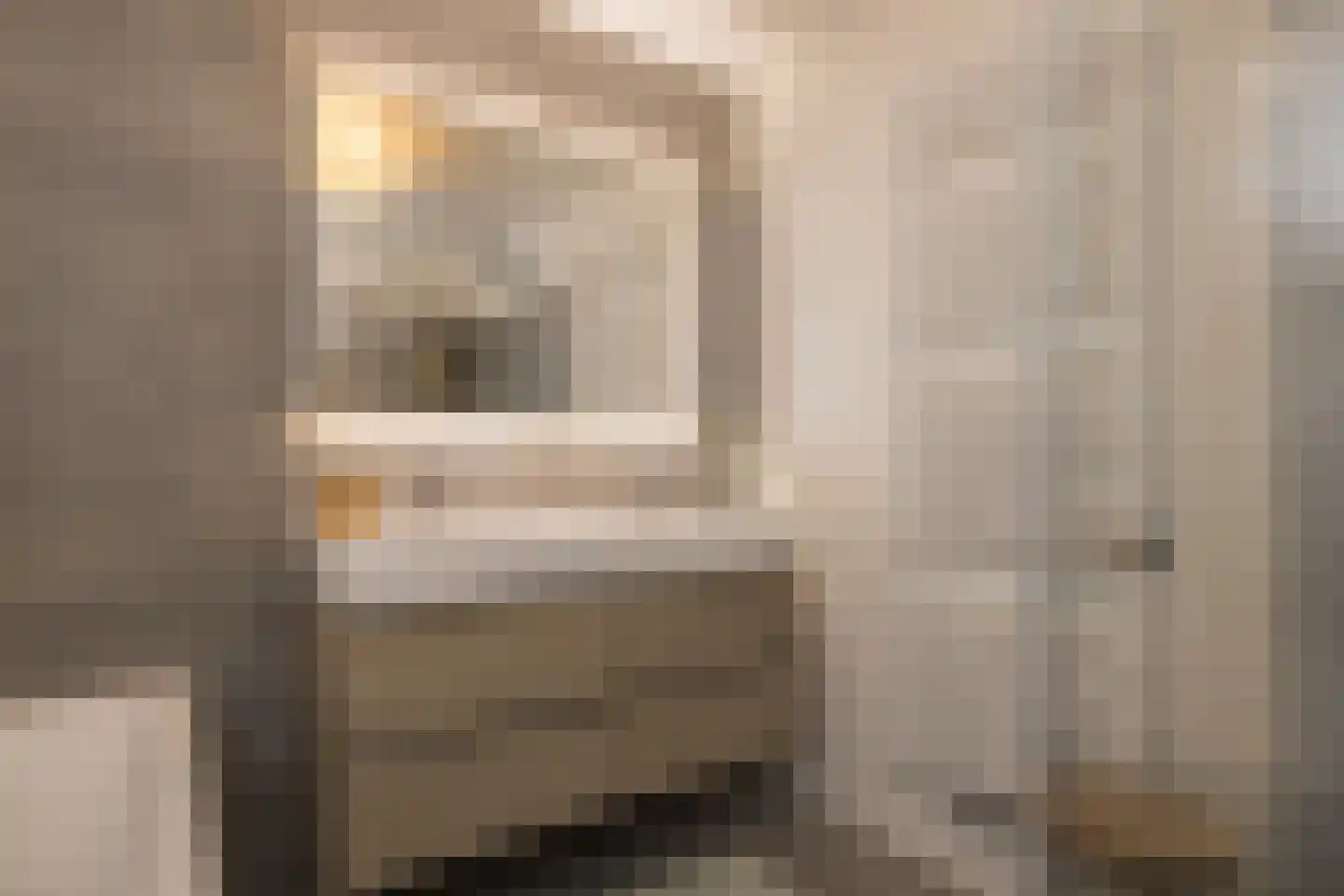 Selderiestraat 7 Voorhout thumbnail 36