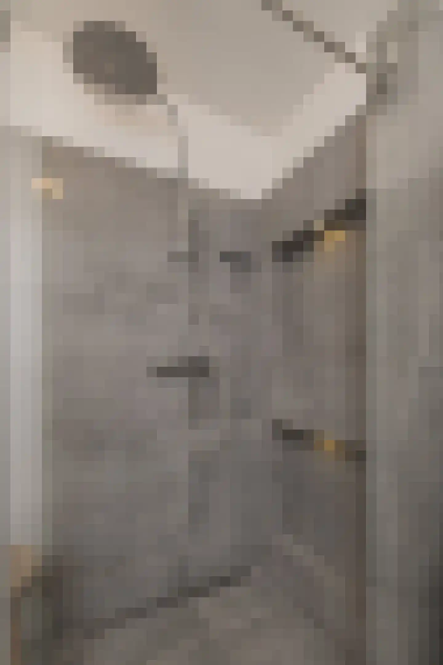 Selderiestraat 7 Voorhout thumbnail 38