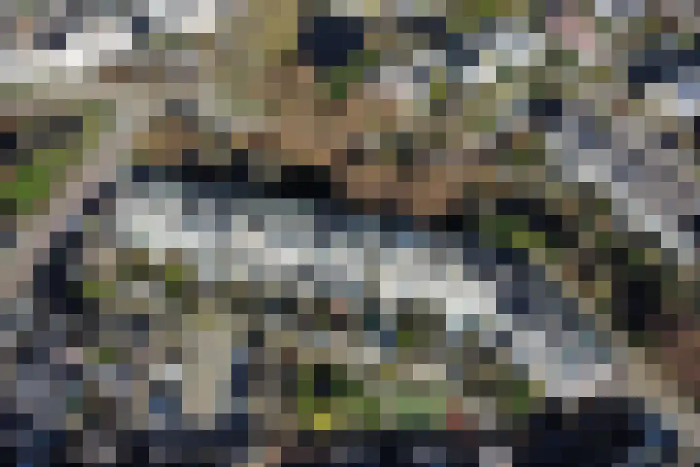 Selderiestraat 7 Voorhout thumbnail 69