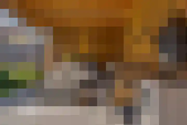 Selhof 7 Westerbork thumbnail 19