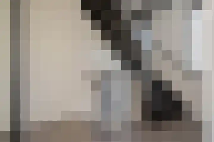 Selhof 7 Westerbork thumbnail 25
