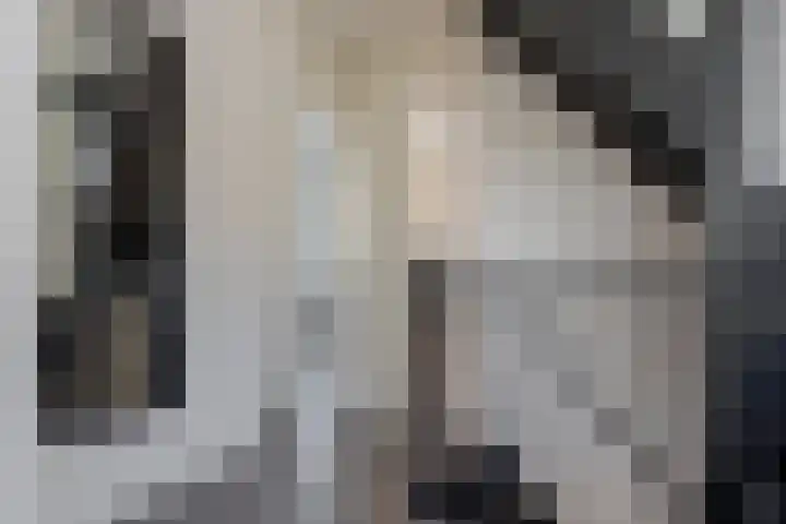 Selhof 7 Westerbork thumbnail 26