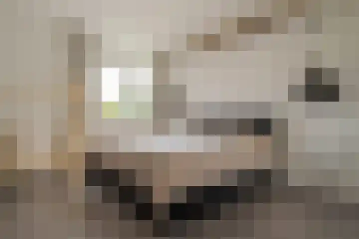 Selhof 7 Westerbork thumbnail 28