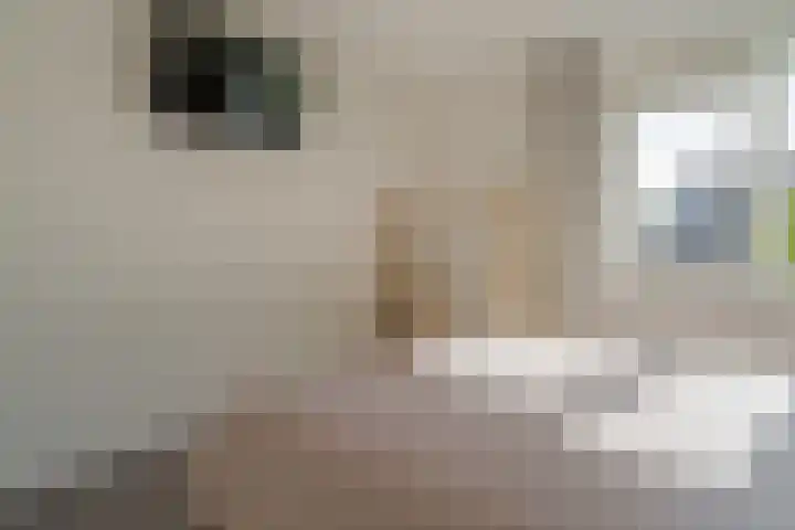Selhof 7 Westerbork thumbnail 29