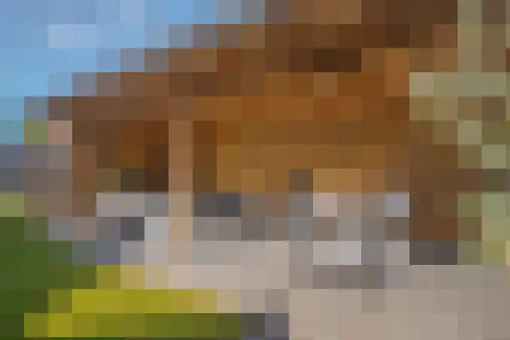 Selhof 7 Westerbork foto 3