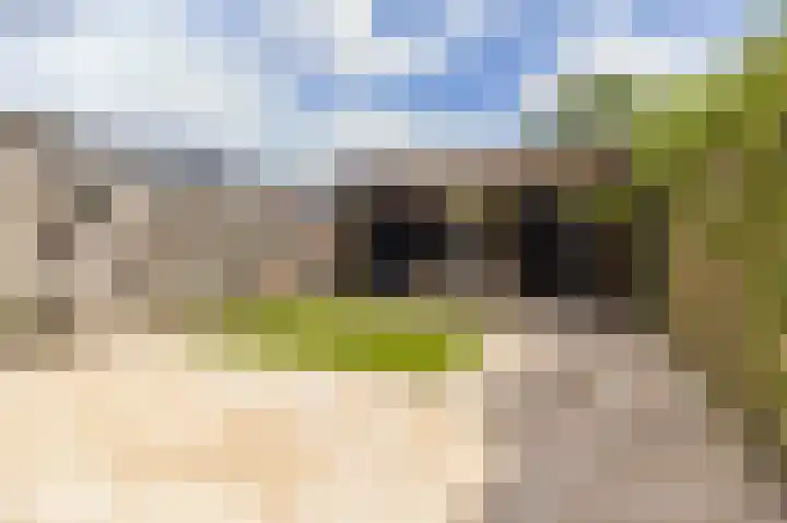 Selhof 7 Westerbork thumbnail 30