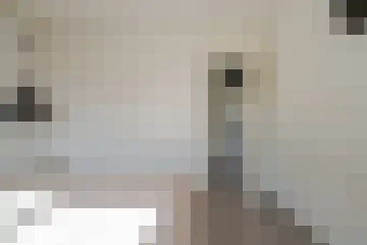 Selhof 7 Westerbork thumbnail 30