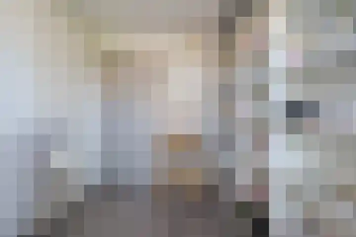 Selhof 7 Westerbork thumbnail 33