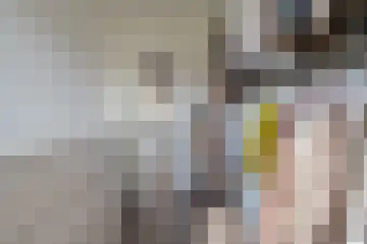 Selhof 7 Westerbork thumbnail 35