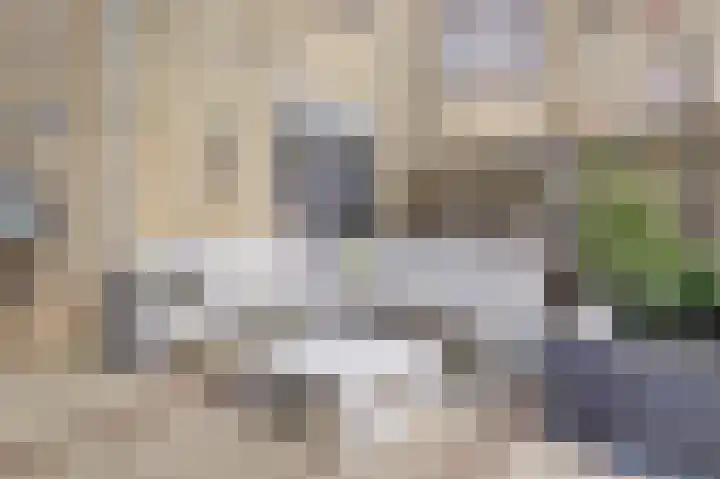 Selhof 7 Westerbork thumbnail 37