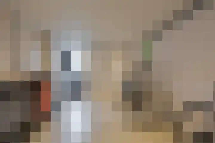 Selhof 7 Westerbork thumbnail 46