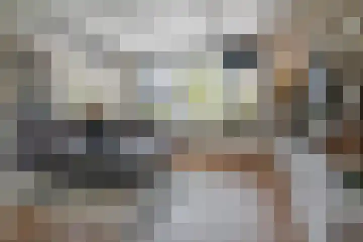 Selhof 7 Westerbork thumbnail 8