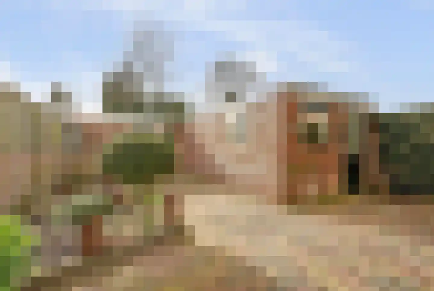 Selhorstweg 14 Harderwijk thumbnail 24