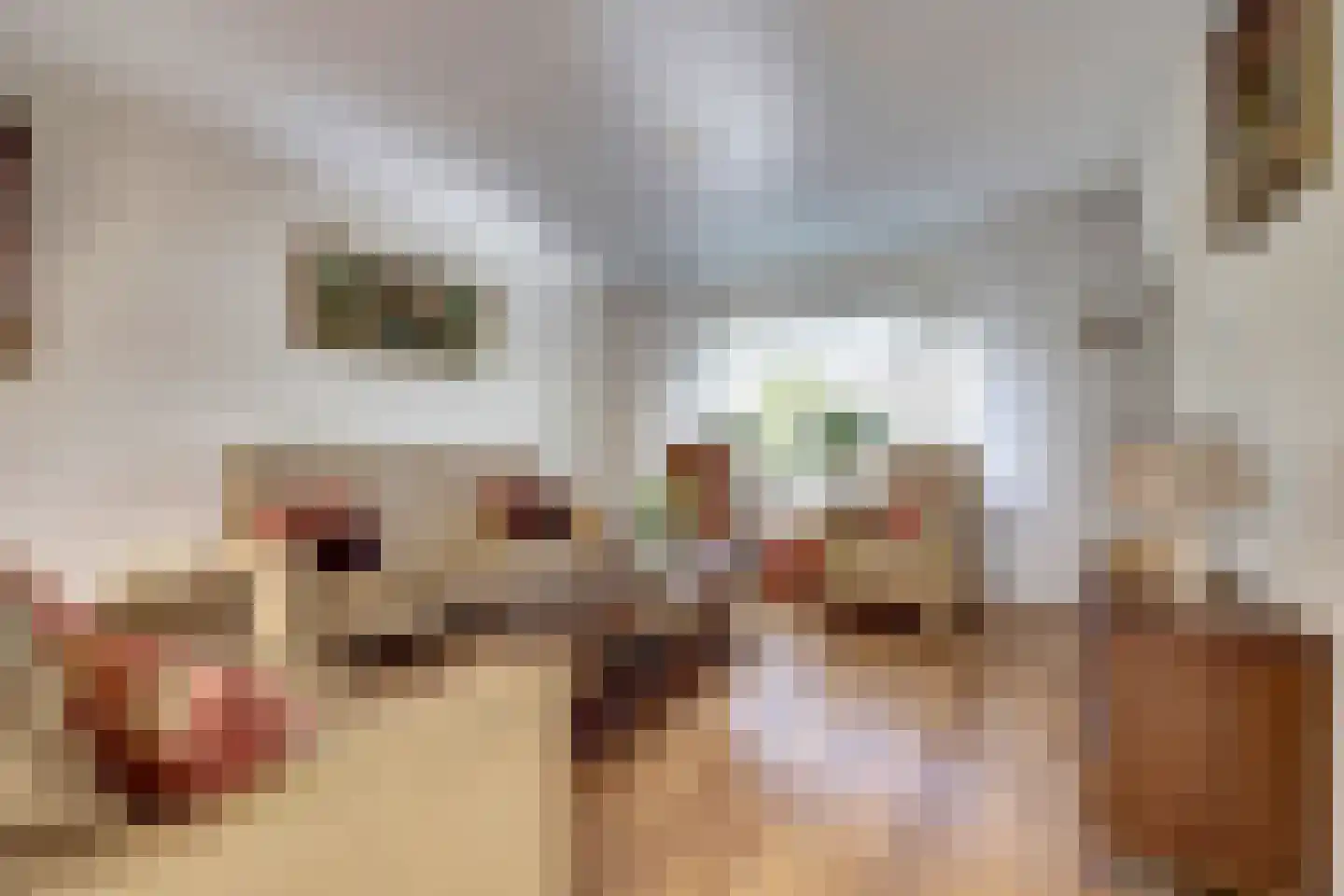 Selhorstweg 14 Harderwijk thumbnail 6