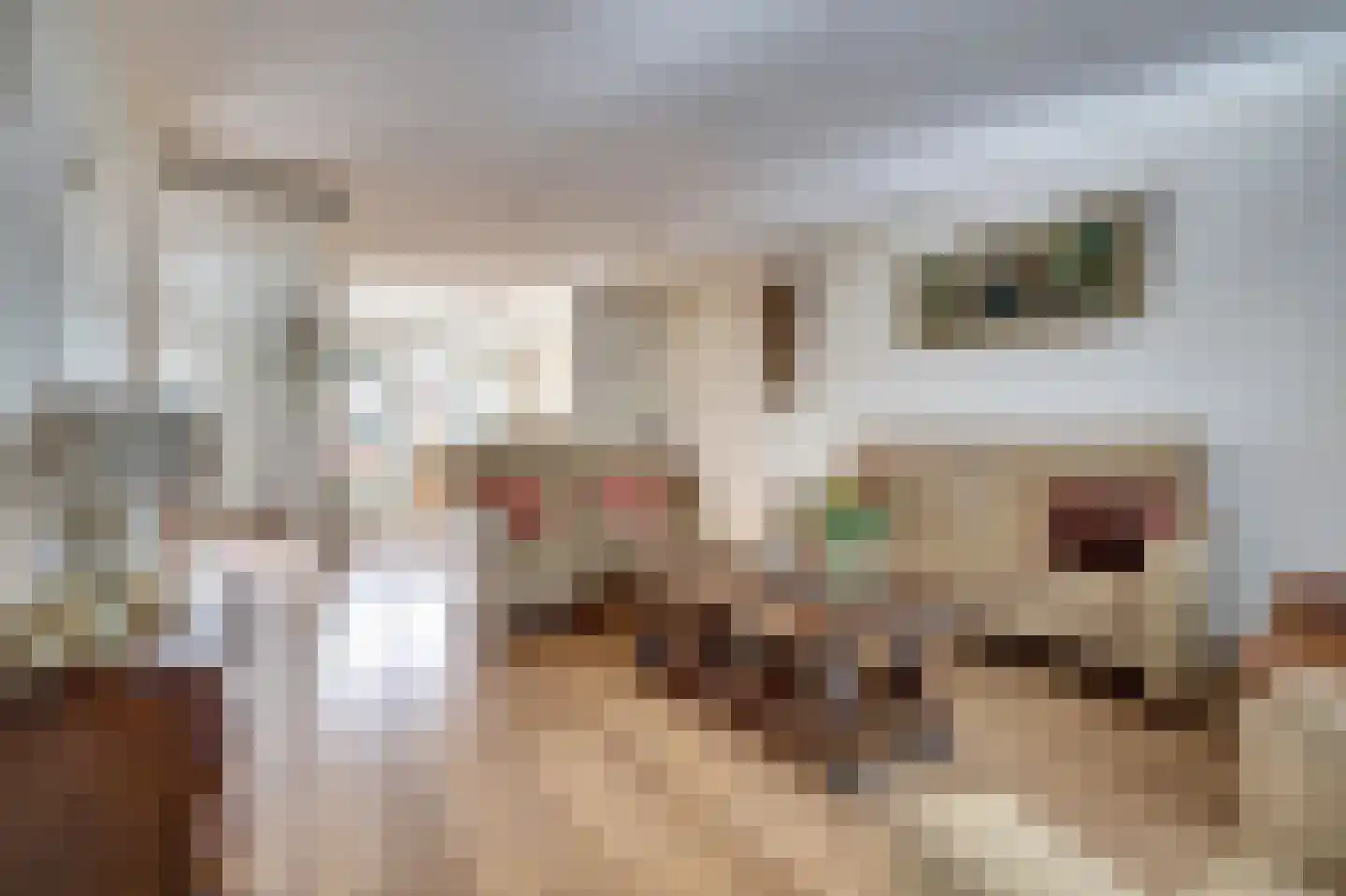 Selhorstweg 14 Harderwijk thumbnail 7