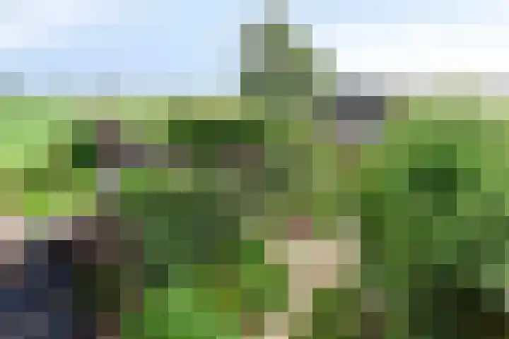 Selijnsweg 18 Waverveen thumbnail 15