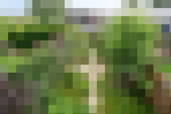 Selijnsweg 18 Waverveen thumbnail 16