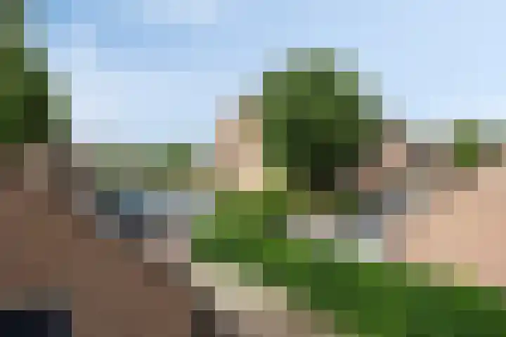 Selijnsweg 18 Waverveen thumbnail 20