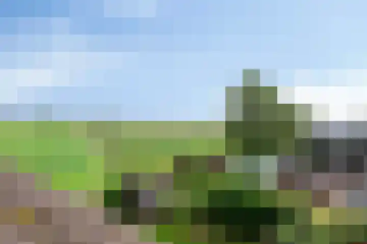 Selijnsweg 18 Waverveen thumbnail 27