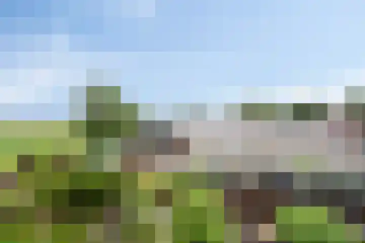 Selijnsweg 18 Waverveen thumbnail 28